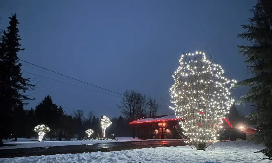 A home with red roofline lights and several leafless trees wrapped in warm white Christmas lights after snowfall.