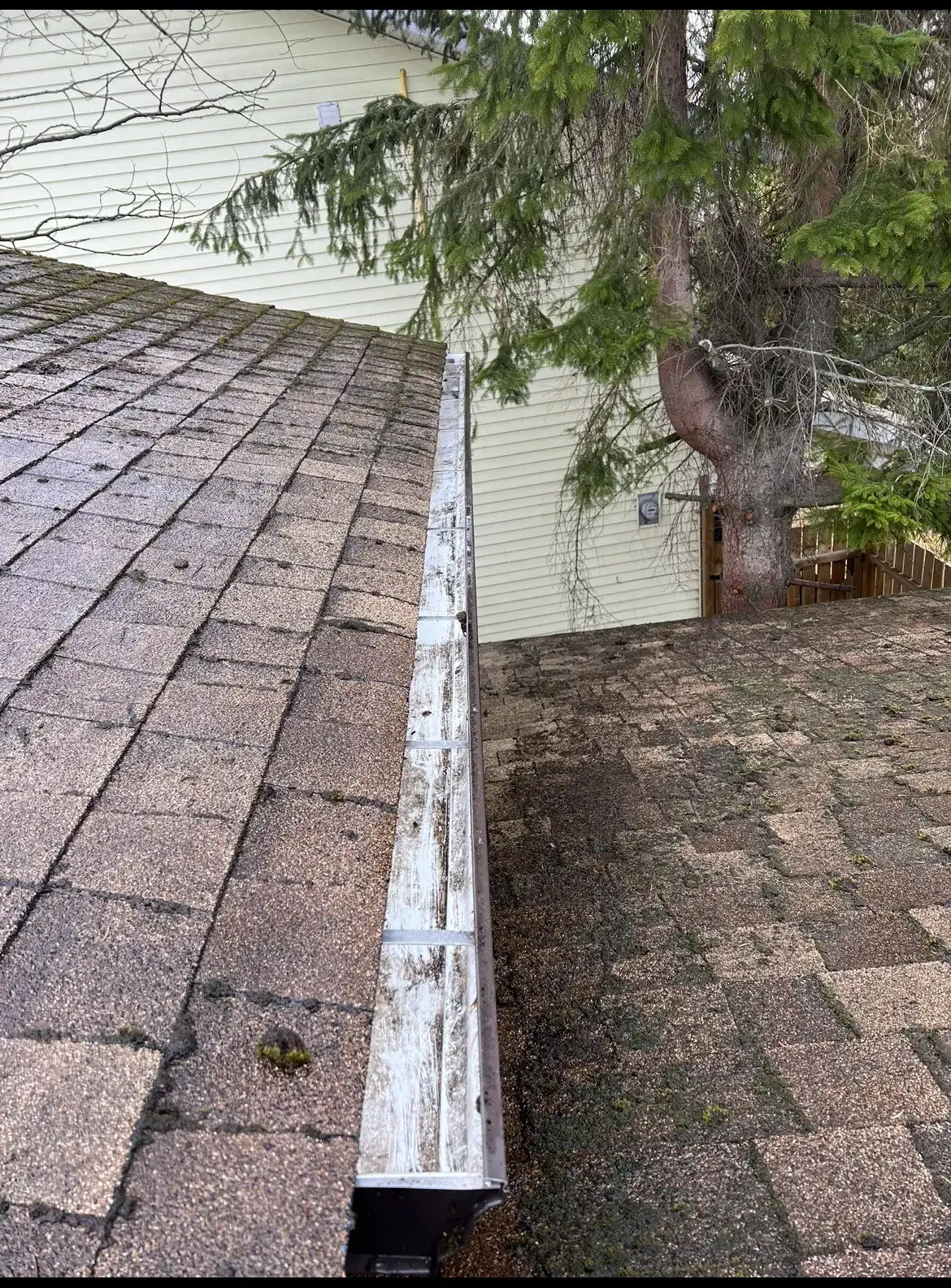A cleared aluminium gutter running along a shingle roofline, wiped down to bare metal with no needles or debris left in the trough.