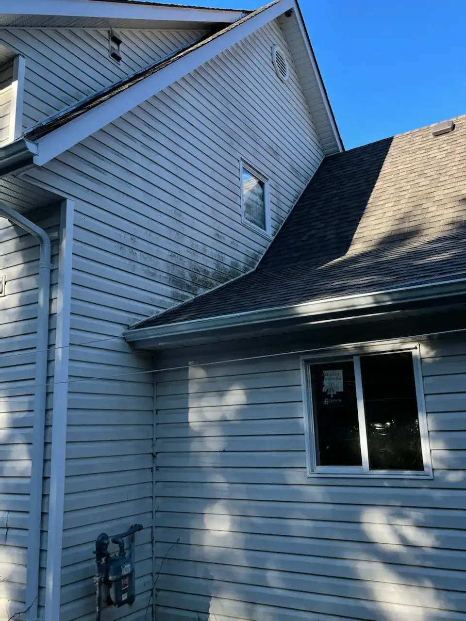 Two-storey pale vinyl siding with green algae staining running down the upper courses beneath a gable, and a shingle roof below.