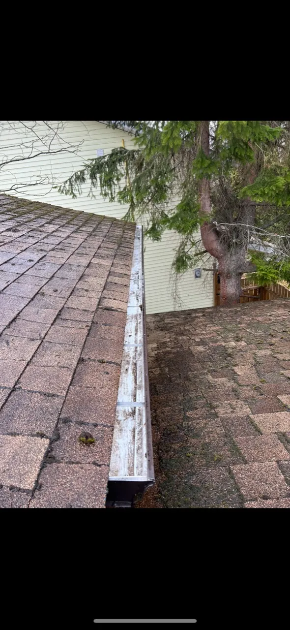The same Oak Bay roof area after service, with the heavy moss and loose roof debris removed and the gutter cleared.