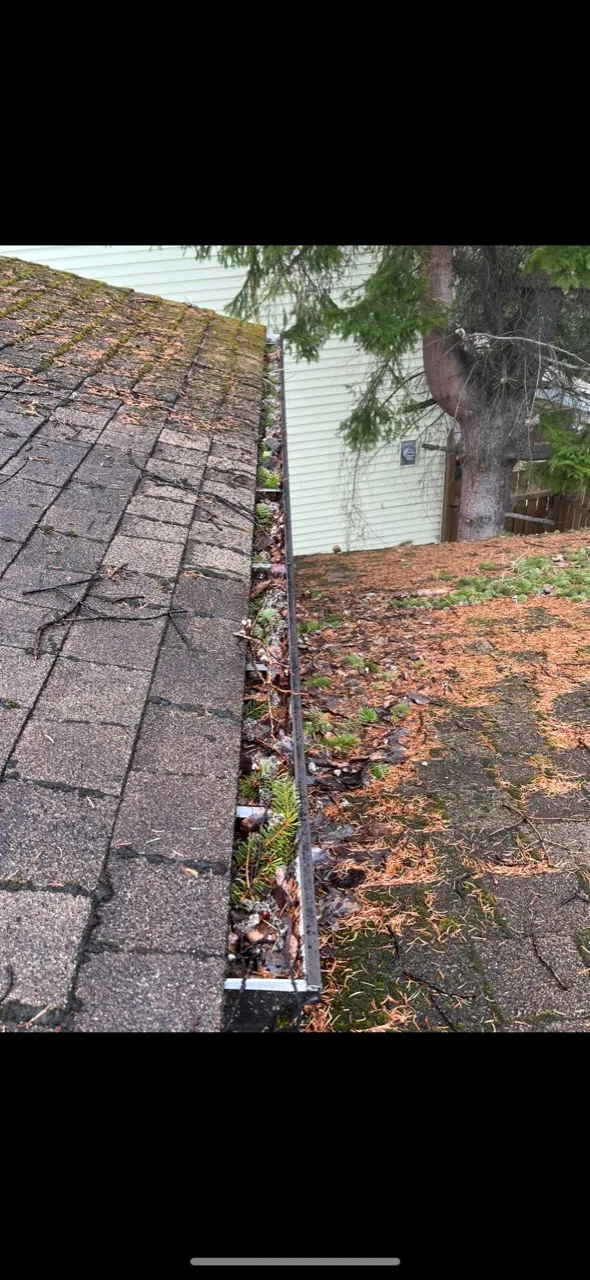 Sarah's Oak Bay shingle roof before service, with moss and cedar debris across the lower roof and an open gutter filled with leaves.