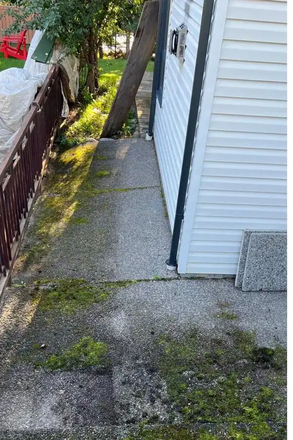 An exposed-aggregate walkway with moss and dark organic growth before pressure washing.