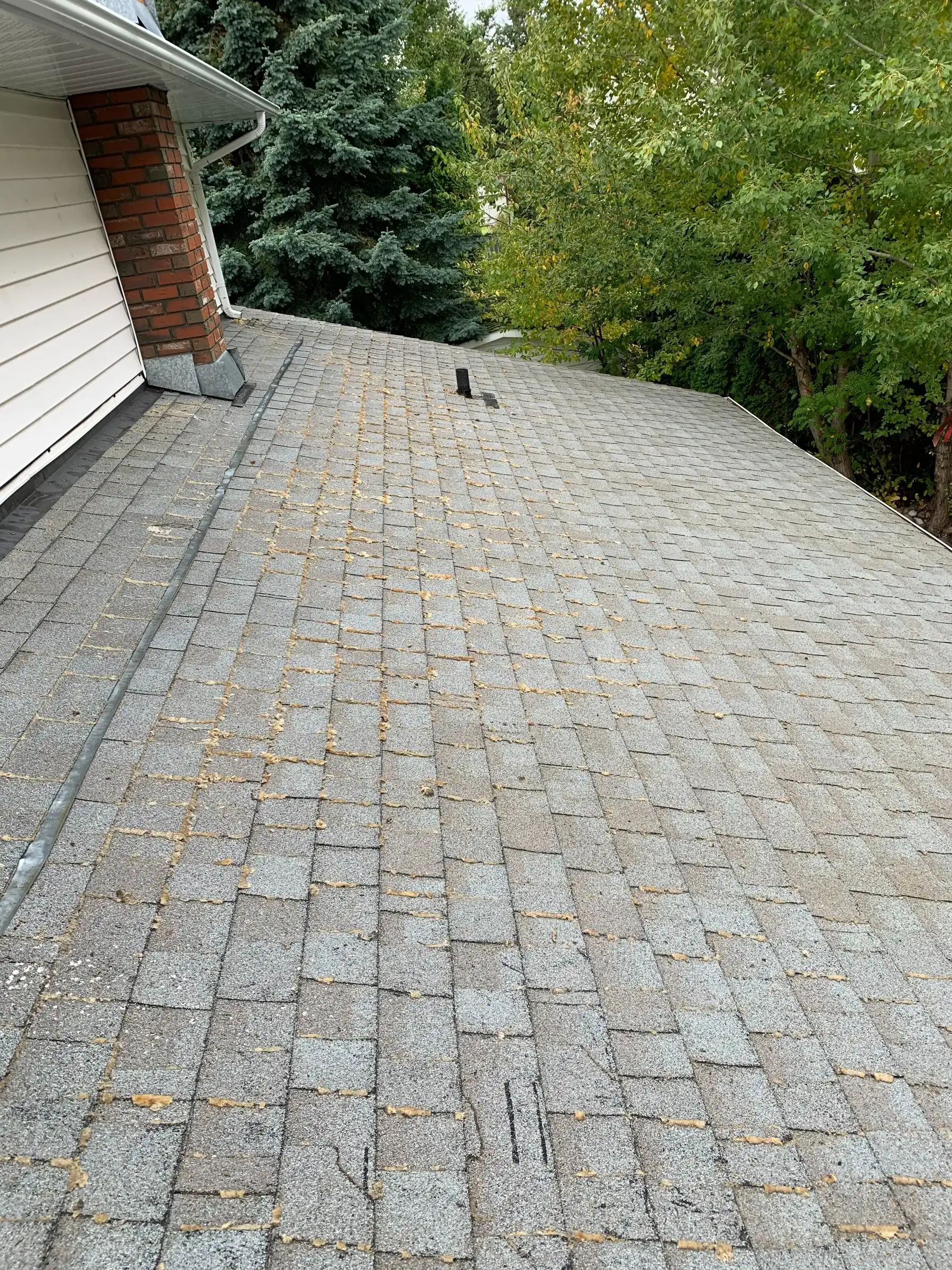 The same asphalt shingle roof after scrubbing, the moss gone from the courses and only pale residue left on the shingles, with the same brick chimney in frame.
