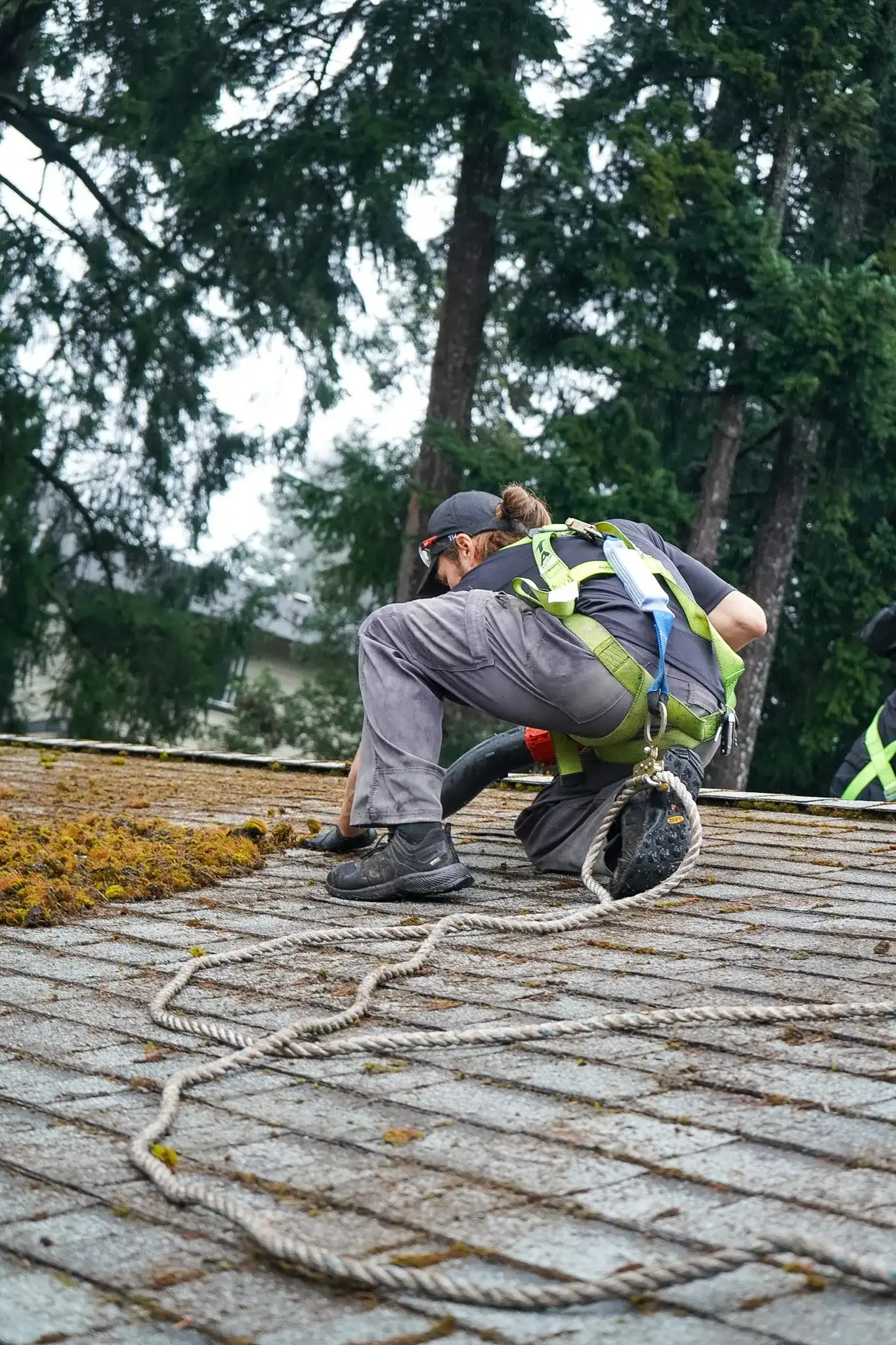 A Shine technician crouching on a roof in a harness and rope line, clearing loosened moss and debris from the shingles by hand.
