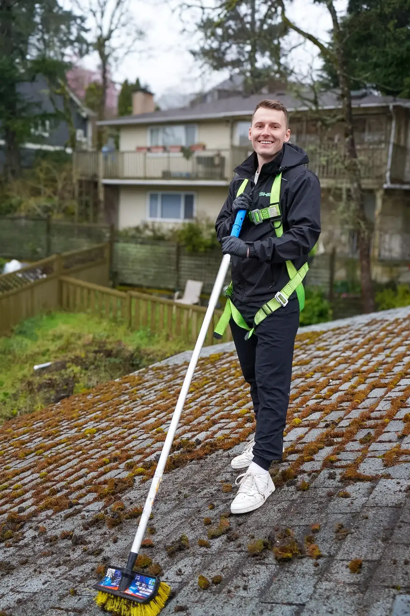 A Shine technician in a green safety harness scrubbing moss from an asphalt shingle roof with a long-handled brush.
