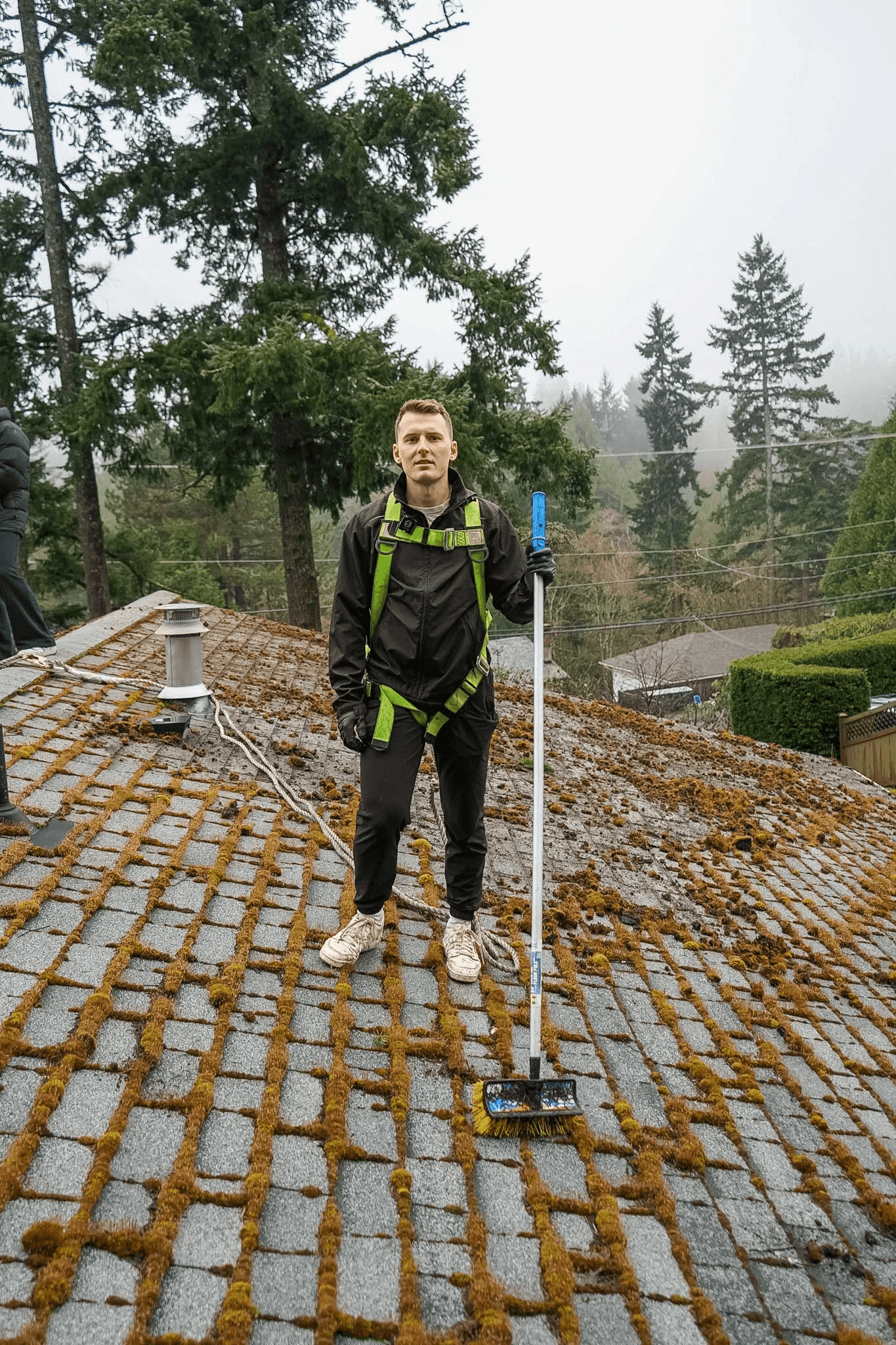 A Shine technician working on a moss-covered roof