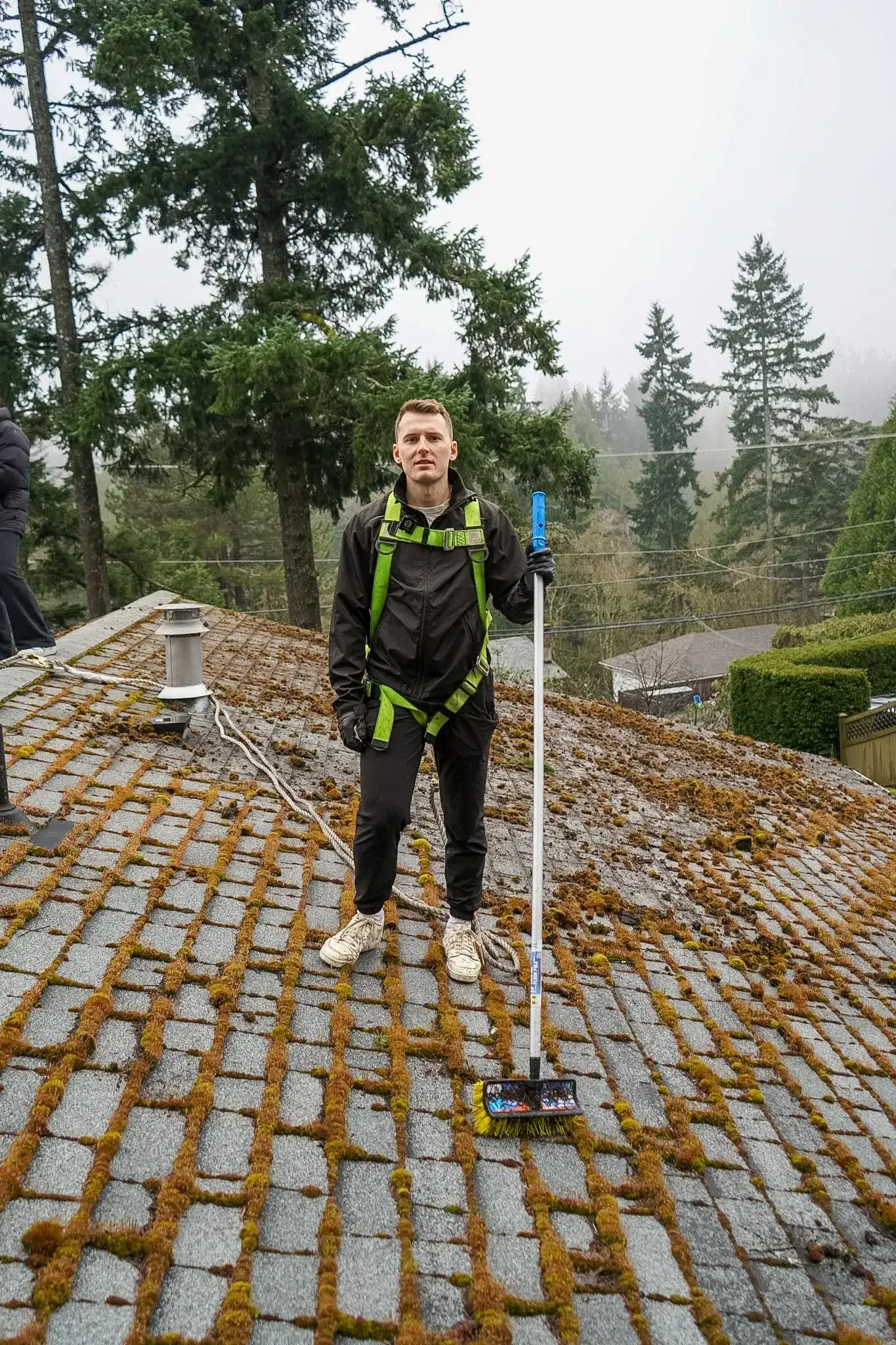 A Shine technician standing with a brush on an asphalt shingle roof carrying dense rust-coloured moss across every course.