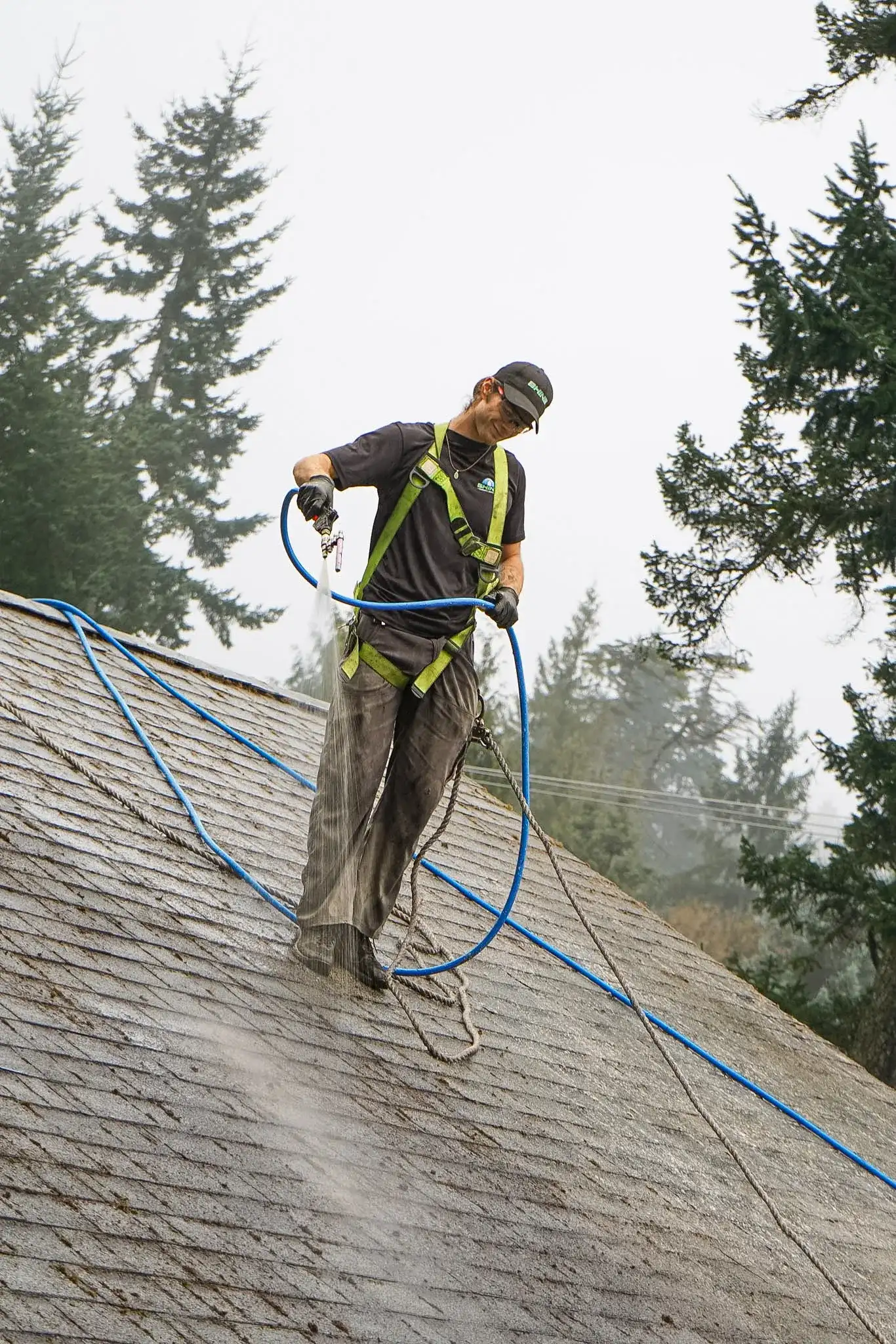 A Shine technician in a green safety harness and rope line spraying treatment onto a steep weathered shake roof, tall conifers standing behind the house.