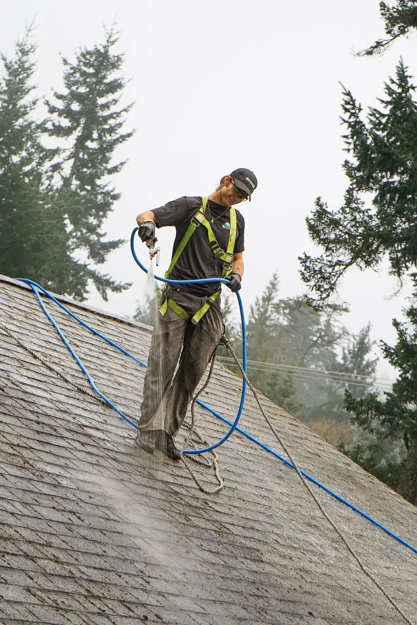 A Shine technician in a green safety harness and rope line spraying treatment onto a steep weathered shake roof, tall conifers standing behind the house.