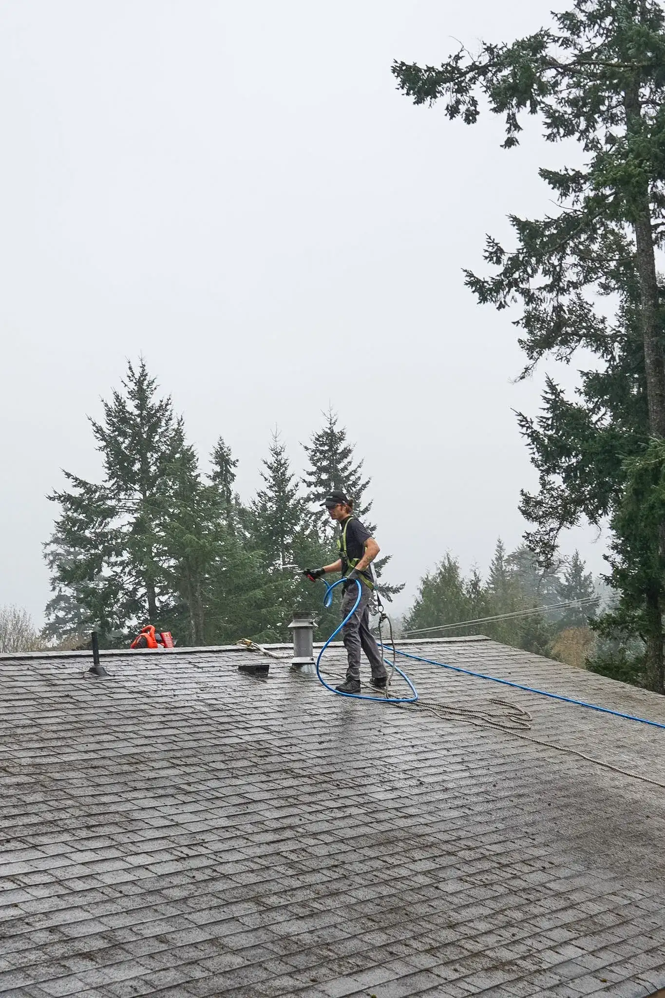 A wide view of a large shingle roof with a Shine technician near the ridge working a hose line across it, conifers and mist beyond.